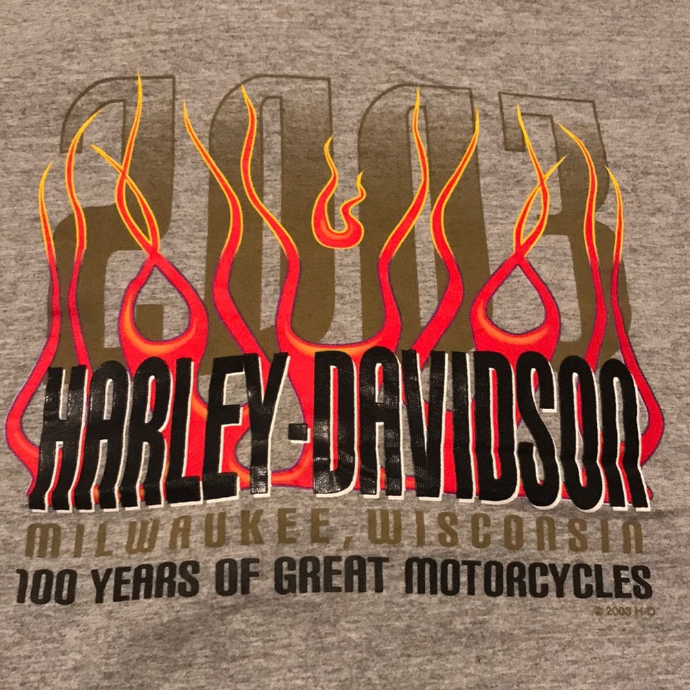 Mens Harley Davidson t-shirt 100th anniversary